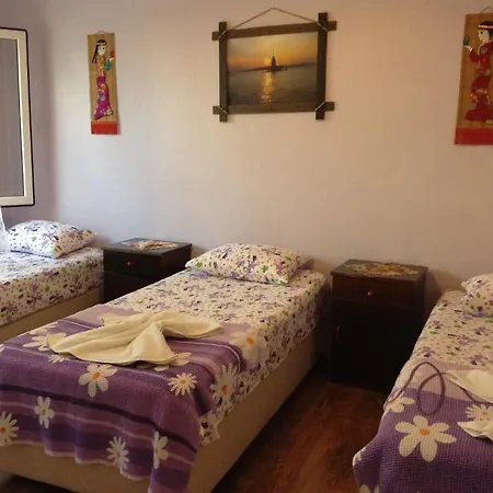 Nur * セルチュク